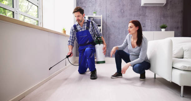 Professional Pest Control in Port Richey, FL